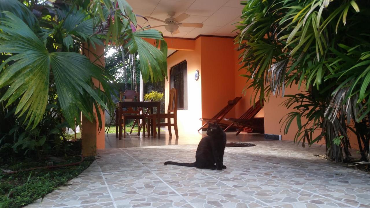 Bed and Breakfast Embassy House à Puerto Jiménez Extérieur photo